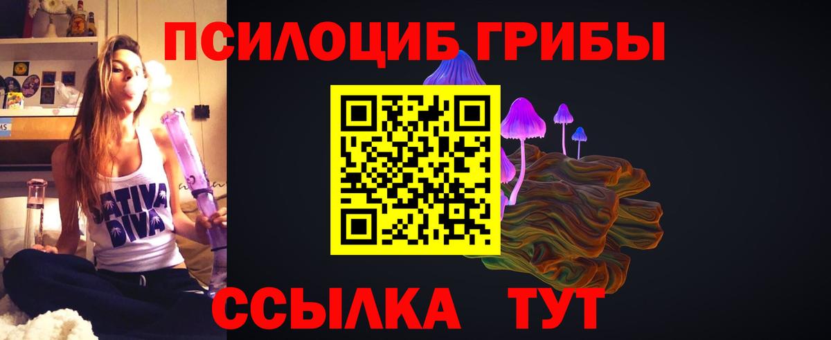 Алатырь  Галлюциногенные грибы мухоморы  Вход с VPN 